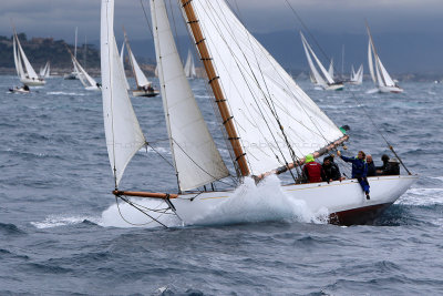 6815 Voiles de Saint-Tropez 2015 - IMG_3166_DxO Pbase.jpg