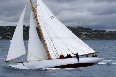 6839 Voiles de Saint-Tropez 2015 - IMG_3190_DxO Pbase.jpg