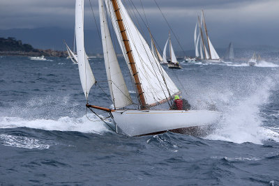 6856 Voiles de Saint-Tropez 2015 - IMG_3208_DxO Pbase.jpg