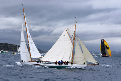 6888 Voiles de Saint-Tropez 2015 - IMG_3241_DxO Pbase.jpg