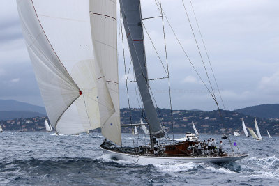 6960 Voiles de Saint-Tropez 2015 - IMG_3315_DxO Pbase.jpg