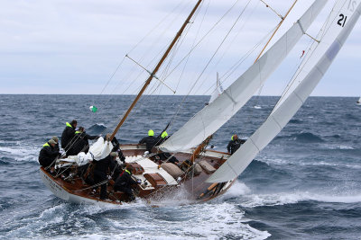 7059 Voiles de Saint-Tropez 2015 - IMG_3415_DxO Pbase.jpg