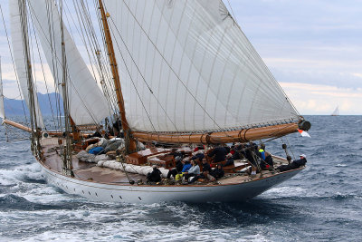 7074 Voiles de Saint-Tropez 2015 - IMG_3431_DxO Pbase.jpg