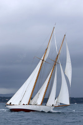 7124 Voiles de Saint-Tropez 2015 - IMG_3472_DxO Pbase.jpg