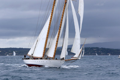 7134 Voiles de Saint-Tropez 2015 - IMG_3482_DxO Pbase.jpg