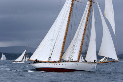 7144 Voiles de Saint-Tropez 2015 - IMG_3492_DxO Pbase.jpg