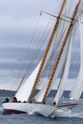 7156 Voiles de Saint-Tropez 2015 - IMG_3504_DxO Pbase.jpg