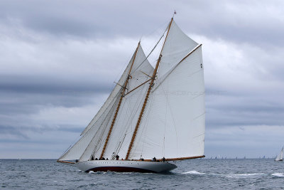 7177 Voiles de Saint-Tropez 2015 - IMG_3525_DxO Pbase.jpg