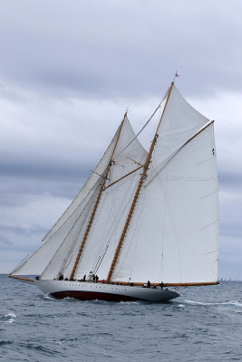 7179 Voiles de Saint-Tropez 2015 - IMG_3527_DxO Pbase.jpg