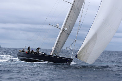 7006 Voiles de Saint-Tropez 2015 - IMG_3362_DxO Pbase.jpg