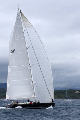 7013 Voiles de Saint-Tropez 2015 - IMG_3369_DxO Pbase.jpg