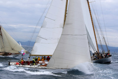 7026 Voiles de Saint-Tropez 2015 - IMG_3382_DxO Pbase.jpg