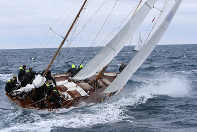 7058 Voiles de Saint-Tropez 2015 - IMG_3414_DxO Pbase.jpg