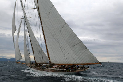 7084 Voiles de Saint-Tropez 2015 - MK3_4730_DxO Pbase.jpg