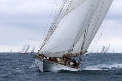 7090 Voiles de Saint-Tropez 2015 - IMG_3436_DxO Pbase.jpg