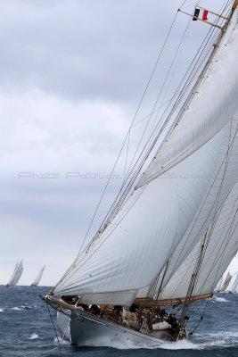 7097 Voiles de Saint-Tropez 2015 - IMG_3443_DxO Pbase.jpg