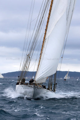 7100 Voiles de Saint-Tropez 2015 - IMG_3447_DxO Pbase.jpg