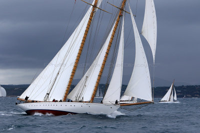 7114 Voiles de Saint-Tropez 2015 - IMG_3462_DxO Pbase.jpg