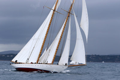 7121 Voiles de Saint-Tropez 2015 - IMG_3469_DxO Pbase.jpg