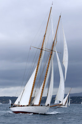 7135 Voiles de Saint-Tropez 2015 - IMG_3483_DxO Pbase.jpg