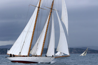 7142 Voiles de Saint-Tropez 2015 - IMG_3490_DxO Pbase.jpg