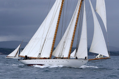 7143 Voiles de Saint-Tropez 2015 - IMG_3491_DxO Pbase.jpg