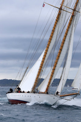 7157 Voiles de Saint-Tropez 2015 - IMG_3505_DxO Pbase.jpg