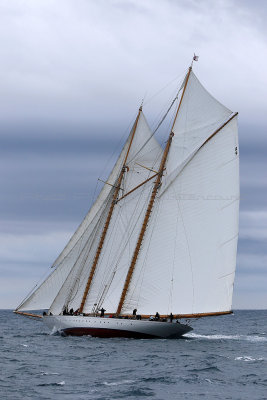 7181 Voiles de Saint-Tropez 2015 - IMG_3529_DxO Pbase.jpg