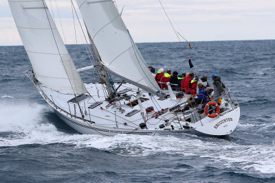 7196 Voiles de Saint-Tropez 2015 - IMG_3544_DxO Pbase.jpg