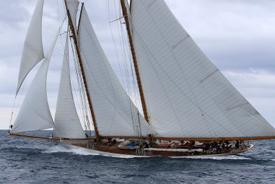 7203 Voiles de Saint-Tropez 2015 - IMG_3551_DxO Pbase.jpg