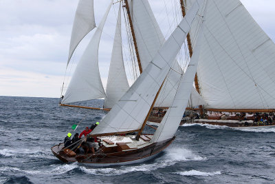 7205 Voiles de Saint-Tropez 2015 - IMG_3553_DxO Pbase.jpg