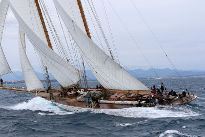 7239 Voiles de Saint-Tropez 2015 - IMG_3587_DxO Pbase.jpg