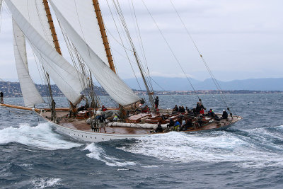 7251 Voiles de Saint-Tropez 2015 - IMG_3599_DxO Pbase.jpg