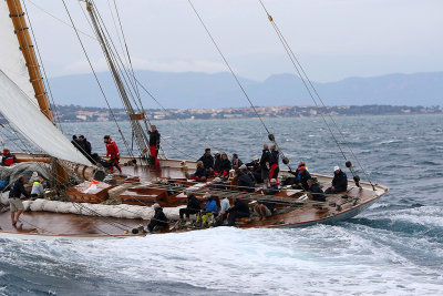 7253 Voiles de Saint-Tropez 2015 - IMG_3601_DxO Pbase.jpg