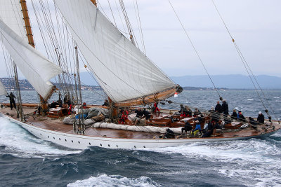 7257 Voiles de Saint-Tropez 2015 - IMG_3605_DxO Pbase.jpg