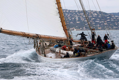 7270 Voiles de Saint-Tropez 2015 - IMG_3618_DxO Pbase.jpg