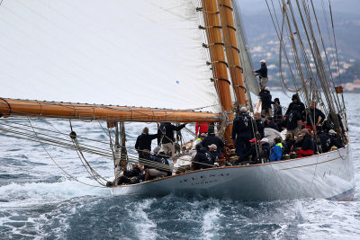 7279 Voiles de Saint-Tropez 2015 - IMG_3627_DxO Pbase.jpg