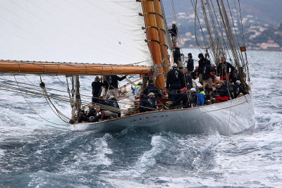 7280 Voiles de Saint-Tropez 2015 - IMG_3628_DxO Pbase.jpg