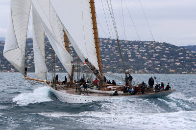 7295 Voiles de Saint-Tropez 2015 - IMG_3643_DxO Pbase.jpg