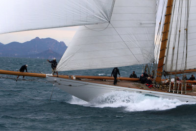 7312 Voiles de Saint-Tropez 2015 - IMG_3660_DxO Pbase.jpg