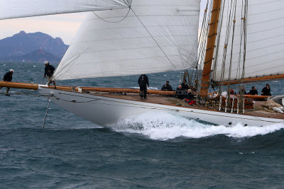 7314 Voiles de Saint-Tropez 2015 - IMG_3662_DxO Pbase.jpg