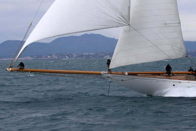 7325 Voiles de Saint-Tropez 2015 - IMG_3673_DxO Pbase.jpg