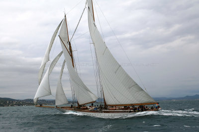 7332 Voiles de Saint-Tropez 2015 - MK3_4738_DxO Pbase.jpg