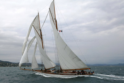 7334 Voiles de Saint-Tropez 2015 - MK3_4740_DxO Pbase.jpg