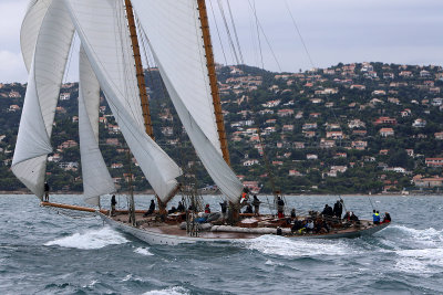 7340 Voiles de Saint-Tropez 2015 - IMG_3679_DxO Pbase.jpg