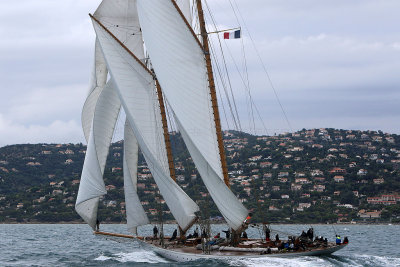 7342 Voiles de Saint-Tropez 2015 - IMG_3681_DxO Pbase.jpg