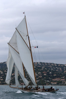 7345 Voiles de Saint-Tropez 2015 - IMG_3684_DxO Pbase.jpg