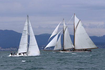 7350 Voiles de Saint-Tropez 2015 - IMG_3689_DxO Pbase.jpg