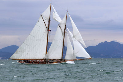 7370 Voiles de Saint-Tropez 2015 - IMG_3711_DxO Pbase.jpg