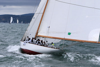 7405 Voiles de Saint-Tropez 2015 - IMG_3747_DxO Pbase.jpg